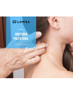 Anatomia Palpatória