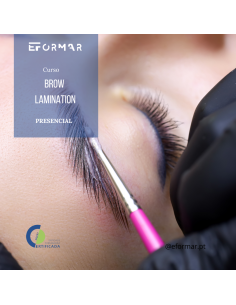 Curso Brow Lamination...